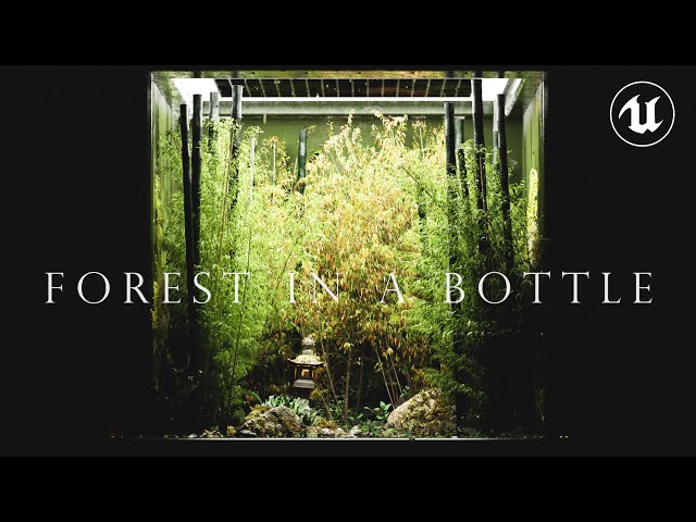 Rain Garden in UNREAL ENGINE 5 | Forest in A Bottle [A UE5 Cinematic, Lumen, Nanite]