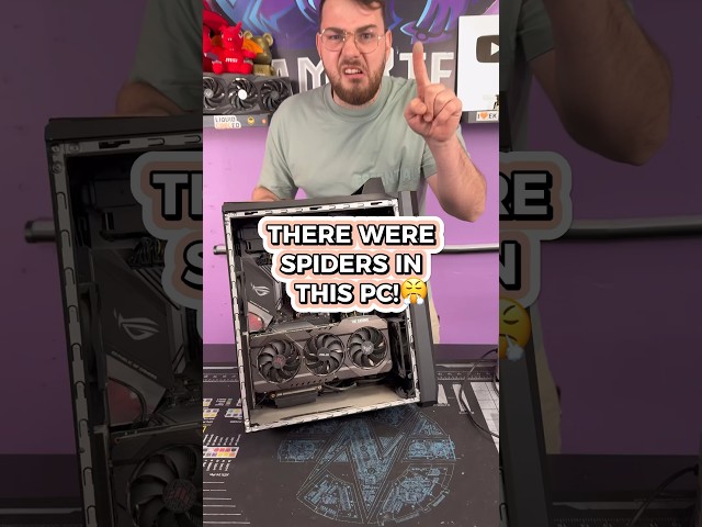 There were SPIDERS in this PC! 😤