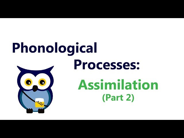 Phonological Processes: Assimilation (Part 2)