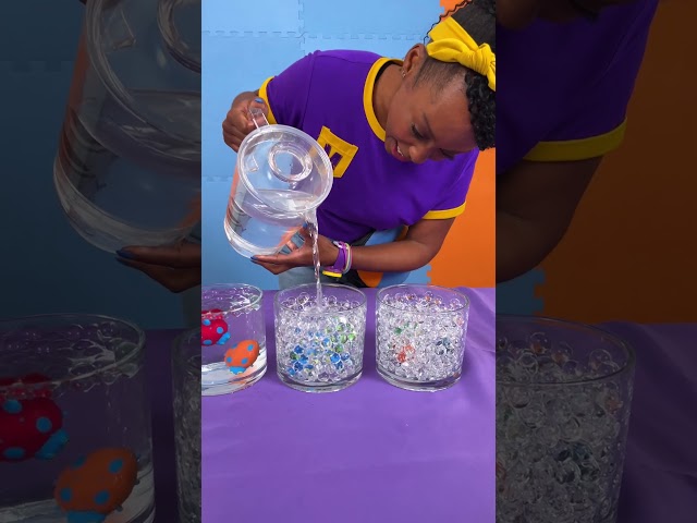 Meekah's Orbeez MAGIC Reveal Challenge! Easy Water Beads Experiments! #shorts #blippi