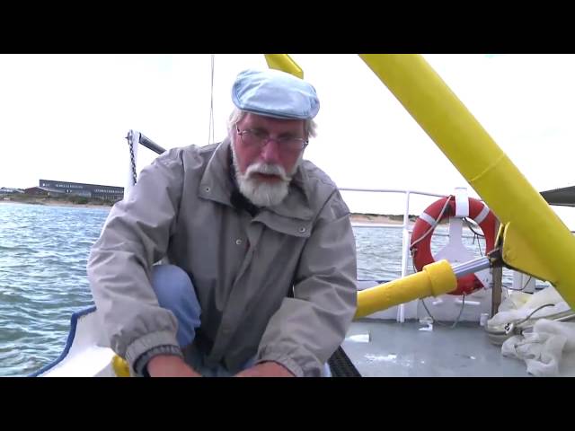 FWU - Das Wattenmeer - Ein einzigartiges Ökosystem - Trailer