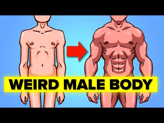 Weird Facts about Male Body
