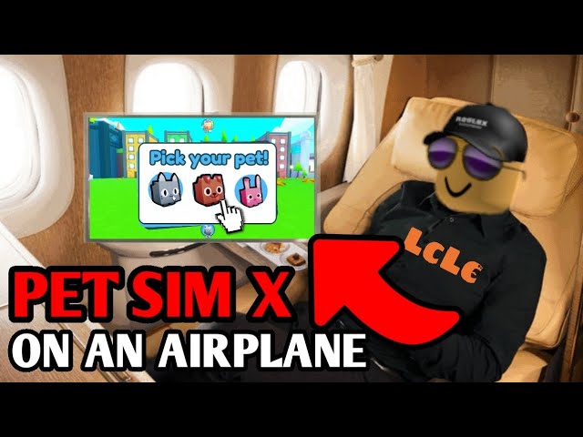 Pet Simulator X BUT on an AIRPLANE...