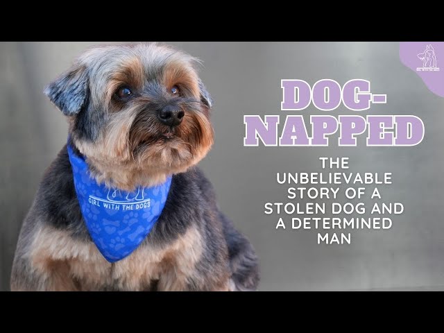 Dog-Napped: The Unbelievable Emotional Story of a Stolen Dog and a Determined Man