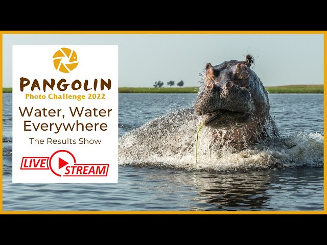 Water Water Everywhere Results Show - Pangolin Photo Challenge 2022