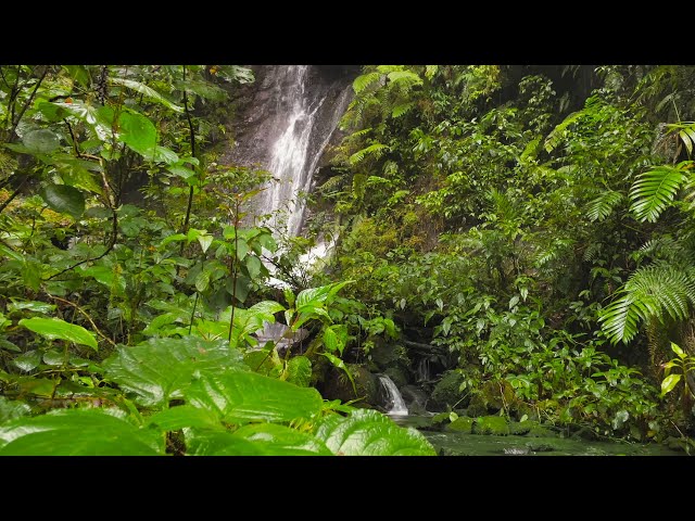 Waterfall White Noise and Nature Ambience | 10 Hour Sleep Sounds
