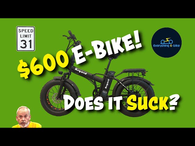 $600 Ebike! Does It Suck? The Asgurd TRD Pro