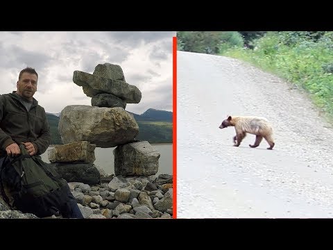 Camping With Mountains And Bears