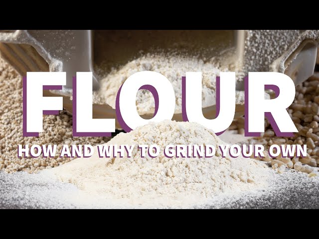 How (& Why) You Should Grind Your Own Flour 🍞