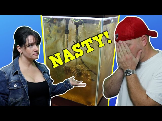 This AQUARIUM Is DISGUSTING! How To Maintain A Fish Tank! T.O.O.L. Ep. 2