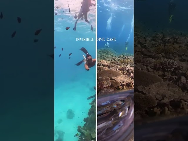 Meet the Invisible Dive Case by Insta360 🔥