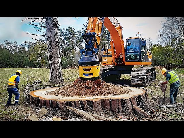 Amazing Biggest Stump Removal Excavator At Another Level, Incredible Stump Removal Grinding Machine