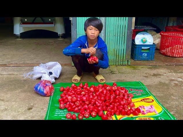 Orphan Boy - DIY Bamboo Floors For Garden , Harvesting Red Whip for Sale, Buying Rice  #diy #boy