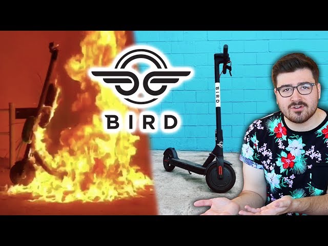 The War on Bird Scooters