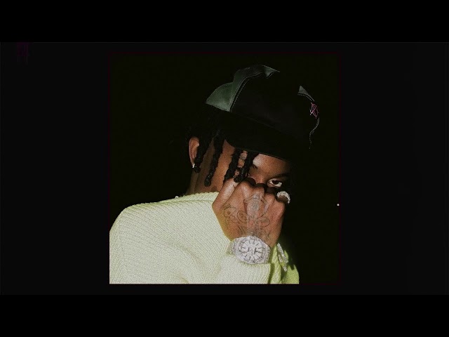 PLAYBOI CARTI MIX [WITH TRANSITIONS]