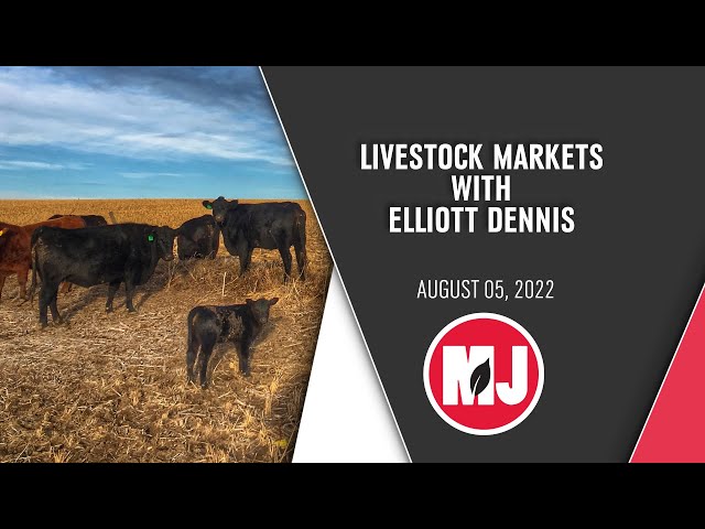 Livestock Markets | Elliott Dennis | August 05, 2022