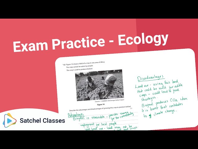 Biology  Sample Exam Questions  Ecology | Biology | Satchel Classes