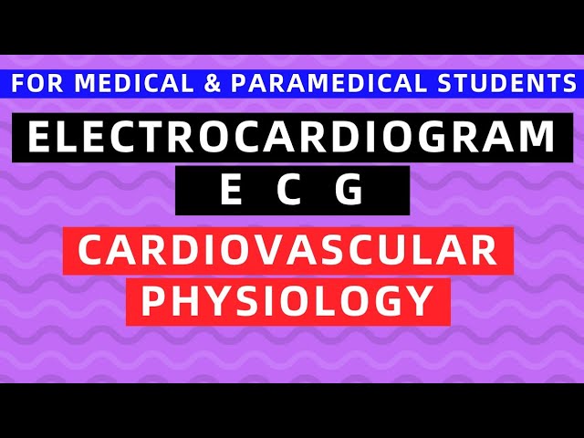 ECG - ELECTROCARDIOGRAM | CARDIOVASCULAR PHYSIOLOGY