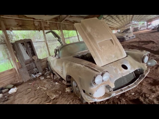 We found A 1959 CORVETTE in a Chicken House WAIT that's not ALL!!