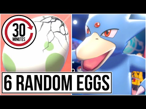 6 Random Egg Pokemon Battles
