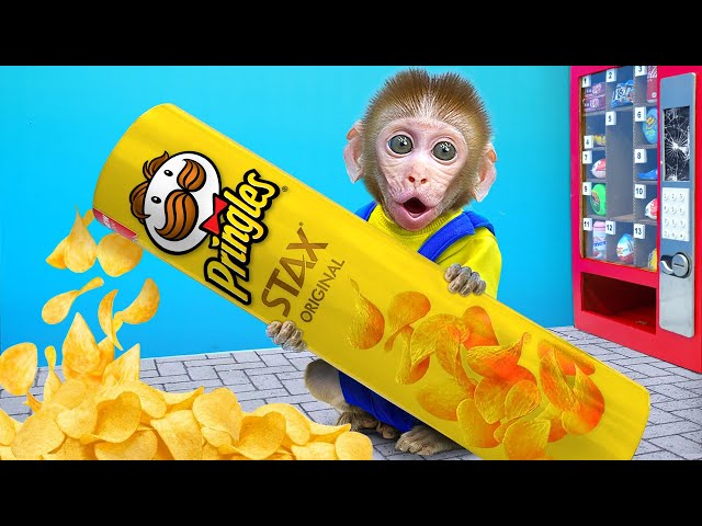 KiKi Monkey experiences DIY Giant Snack and eats yummy four colors ice cream | KUDO ANIMAL KIKI