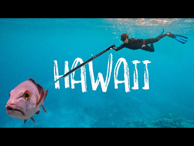 I flew to HAWAII to SPEAR a FISH