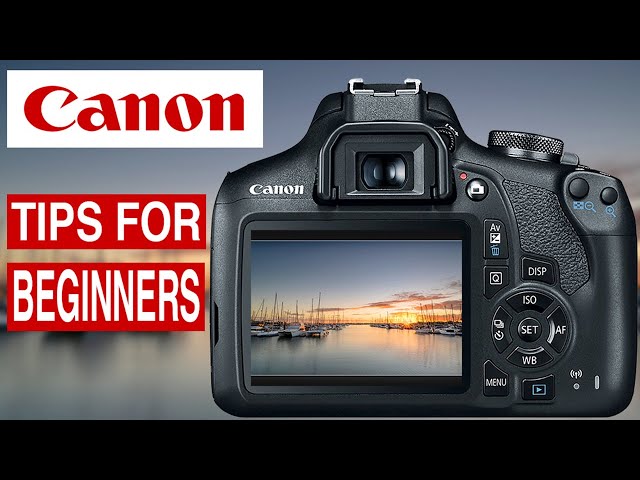 CANON CAMERA AND PHOTOGRAPHY TIPS - USING LIVE VIEW for beginners.
