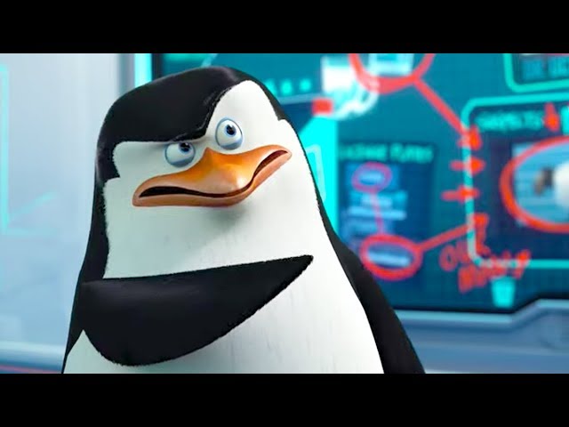 DreamWorks Madagascar | North Wind Headquarters | Penguins of Madagascar Clip | Kids Movies