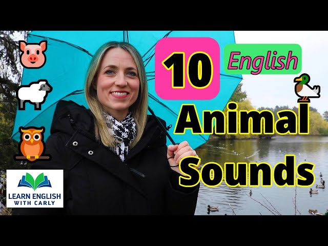 🐷 Do you know these 10 ANIMAL SOUNDS in English? #englishvocabulary #animalsounds #everydayenglish