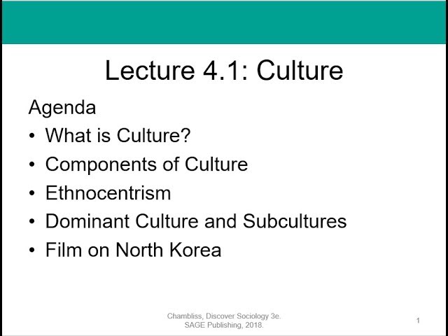 Soc 101 Lecture 4.1: Culture
