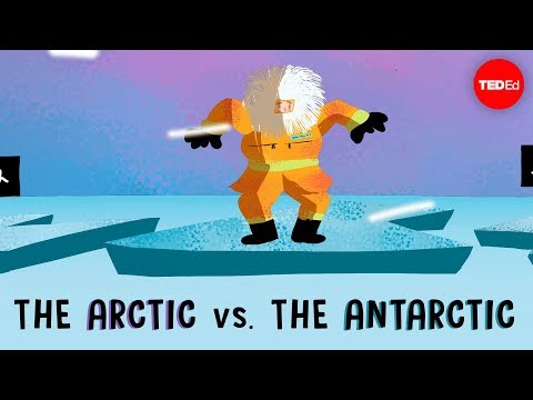 The Arctic vs. the Antarctic - Camille Seaman