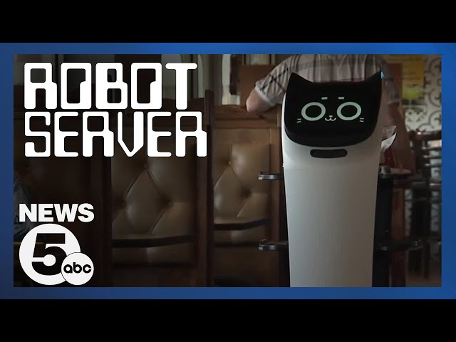 Meet Bella: Don Tequila's newest robot server