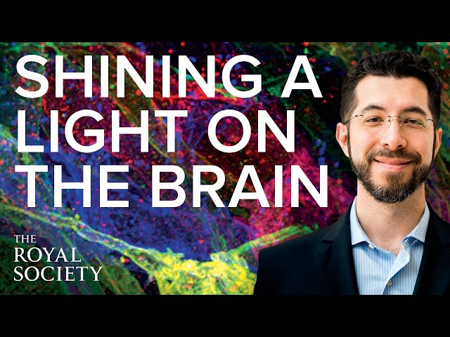 Shining a light on the brain | The Royal Society