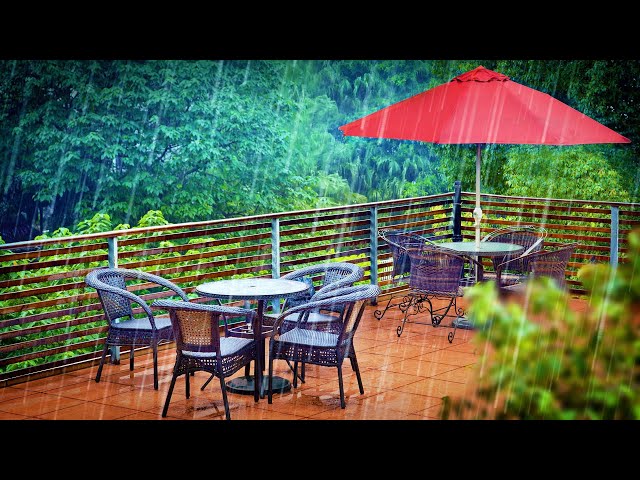 Fall Asleep To Gentle Rain Sounds | Soothing White Noise for Sleeping, Relaxation or Focus | 10 Hour