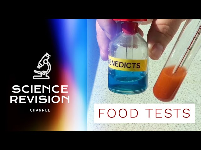 GCSE Science Biology (9-1) - Food Tests - Required Practical
