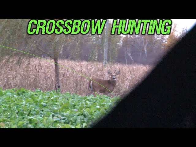 Girl MISSES first BUCK with CROSSBOW!