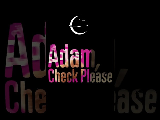 Adam, Check Please - Owl City - YouTube Shorts Exclusive