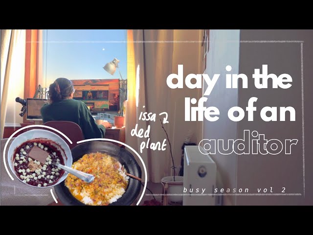 BIG 4 DIARIES — Day in the life of an auditor in busy season (KPMG, EY PwC, Deloitte)