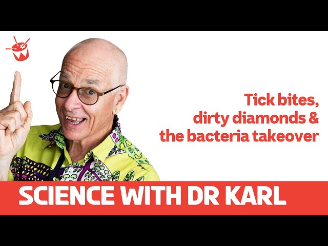 Tick bites, dirty diamonds and the bacteria takeover | Science with Dr Karl