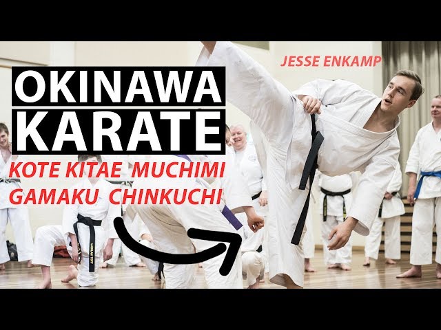 EPIC KARATE SEMINAR | Kote Kitae, Crossfit & Chinkuchi — Jesse Enkamp