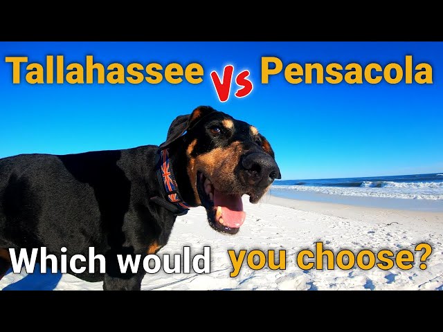 Should we visit Tallahassee, St Marks or Pensacola Beach?