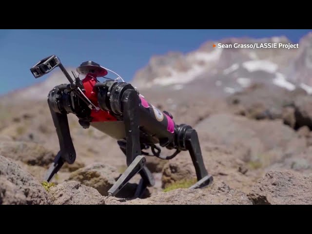 A robot learns to walk on the moon | REUTERS