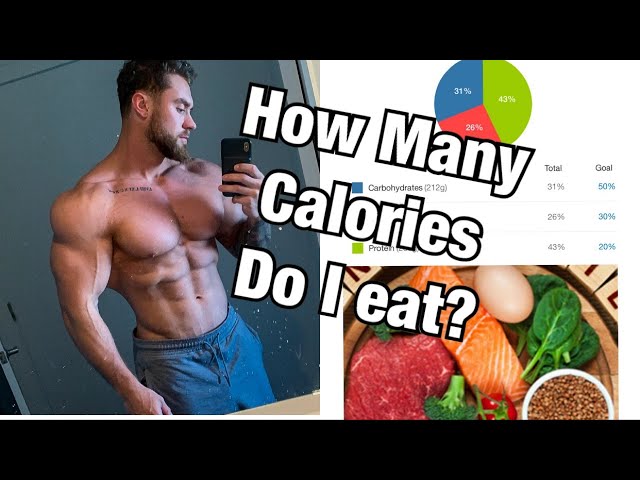 How To Get Stage Lean | My Current Macros On Prep