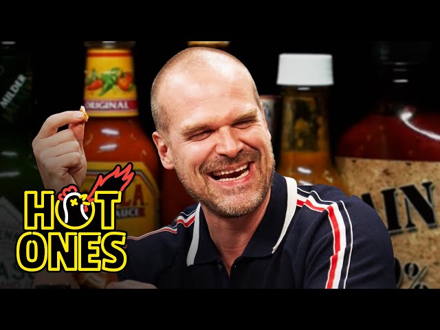 David Harbour Feels Out of Control While Eating Spicy Wings | Hot Ones