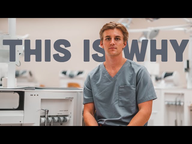 This Is Why Dental School Is So Hard | How To Survive Dental School Lab Courses