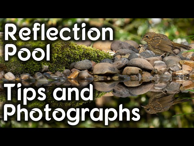 Reflection Pool - Tips and Photographs