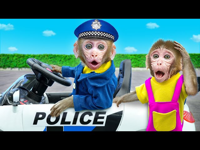 Kiki Monkey pretend police and catch thief to take bag for baby monkey | KUDO ANIMAL KIKI