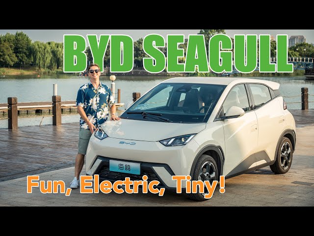 The BYD Seagull: Finally, A Fun To Drive Tiny EV!