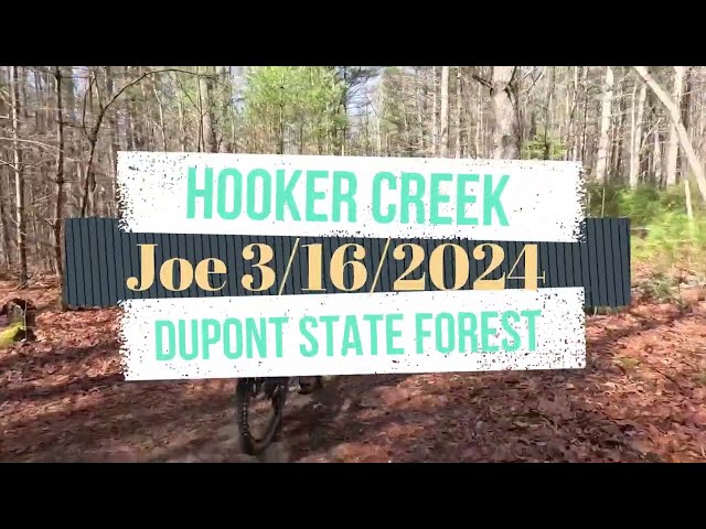 Dupont State Forest   Hooker Creek 3-16-2024   Joe Mori