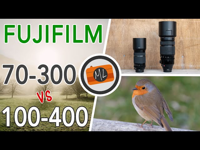 Fujifilm 70-300mm vs 100-400mm for Wildlife and Bird Photography (tested with X-S10 and X-T4)